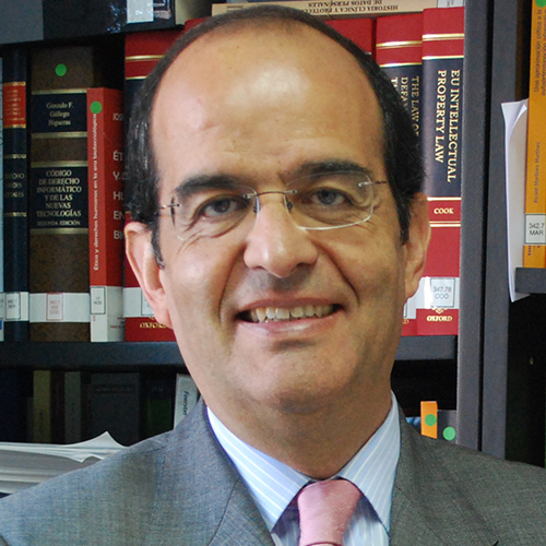 José Luis Piñar Mañas